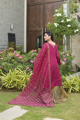 Roshni gharara dress